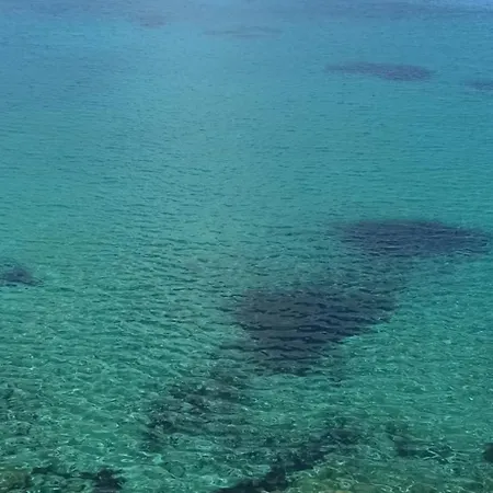 White Lotus Seaside *