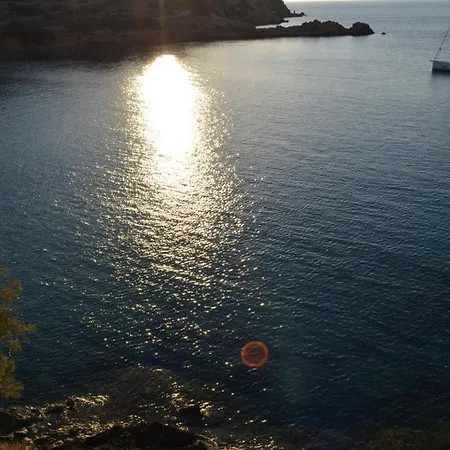 White Lotus Seaside Kini