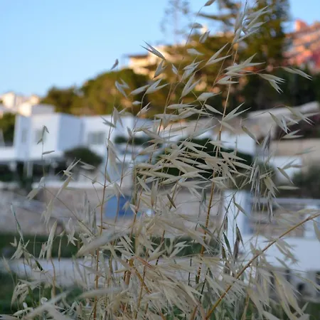 White Lotus Seaside Кинион