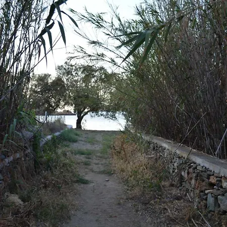 White Lotus Seaside Kini