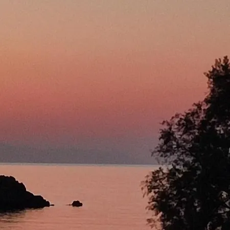 White Lotus Seaside * Kini