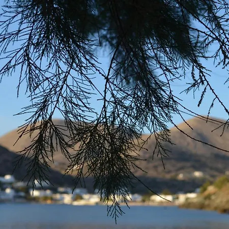 White Lotus Seaside *