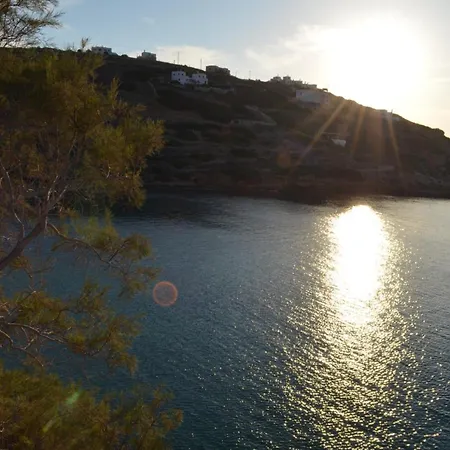 White Lotus Seaside Κίνι