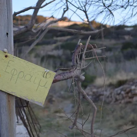White Lotus Seaside Kini