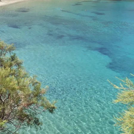 White Lotus Seaside * Kini