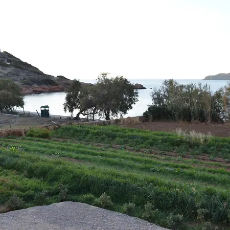 White Lotus Seaside Tatil Evi *