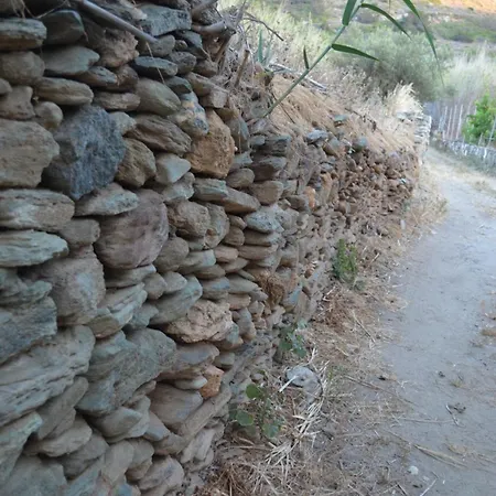 בית נופש White Lotus Seaside *