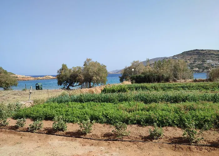 White Lotus Seaside *