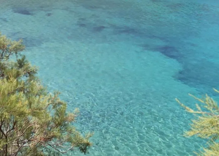 White Lotus Seaside * Кинион