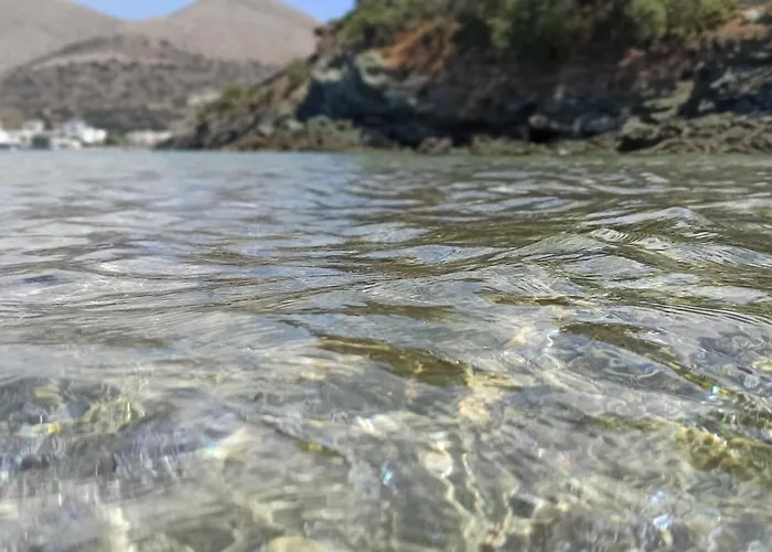 Дом отдыха White Lotus Seaside