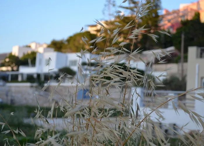 White Lotus Seaside Кинион