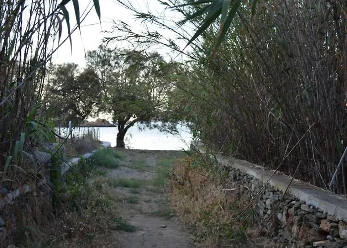 White Lotus Seaside Кинион