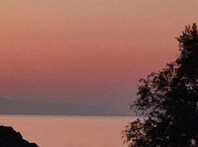 White Lotus Seaside * Кинион