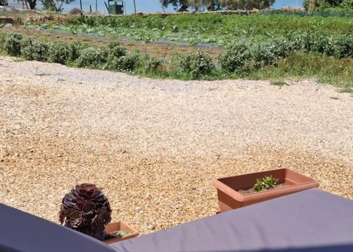 Дом отдыха White Lotus Seaside